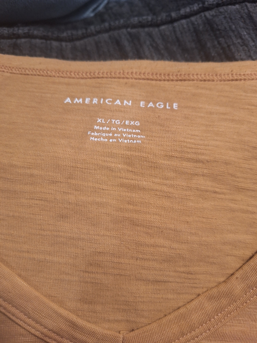 American Eagle Outfitters Short Sleeve Tee in Rust
